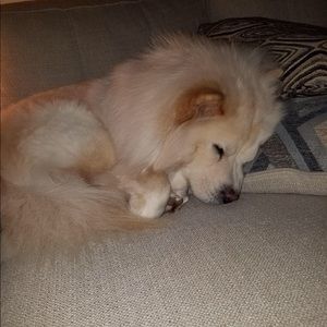 Meet your Posher, Greg